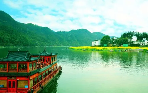 绿色高标准全自动